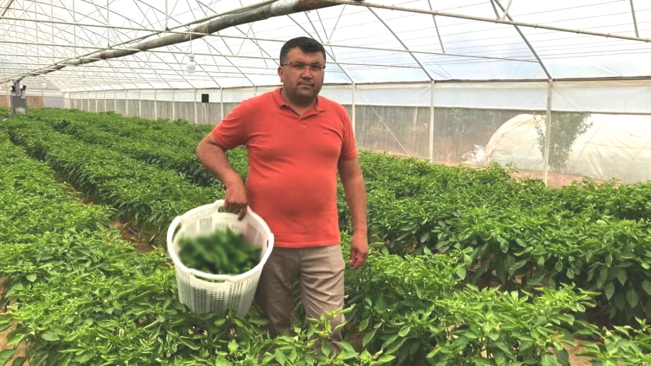 150 Yıllık Ata Tohumlarıyla Yetiştirilen Tarım Ürünleri: Kilosu 250 TL Ama Sıraya Girmeye Değer!