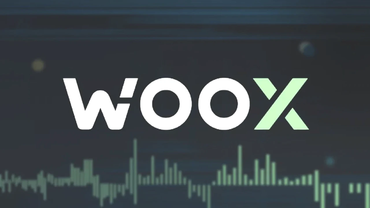 WOO X Kripto Para Borsası'nda Şok Siber Saldırı! 12 Milyon Dolar Kayıp!
