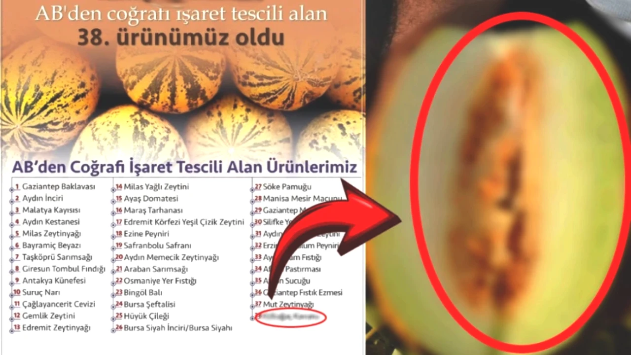 Avrupa'nın Zirvesinde Gururumuz! O Ünlü Kavun Artık AB Coğrafi İşareti Sahibi
