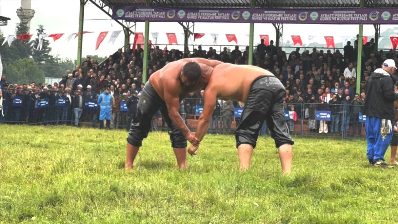 Aybastı Yağlı Güreşleri Heyecanı! Çeyrek, Yarı Final ve Final Hangi Kanalda, Saat Kaçta?