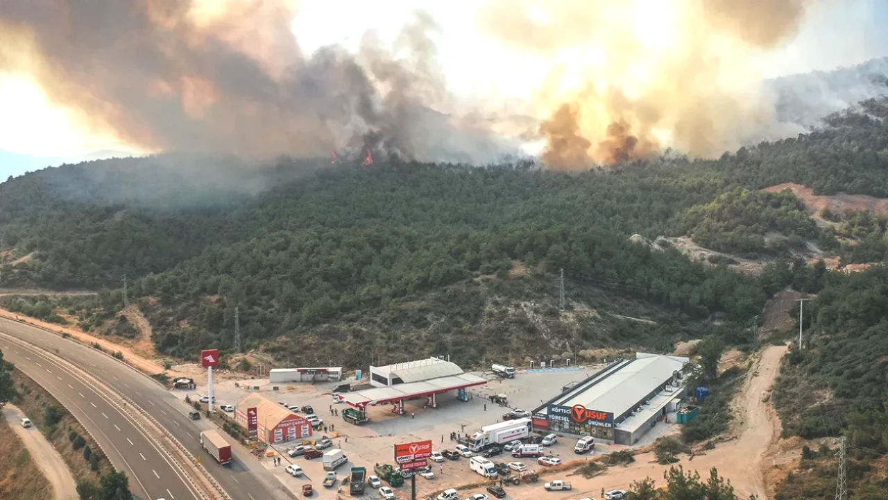 Orman Yangınlarının Arkasındaki Gizem: Eski Yatak Detayı Şok Etti!