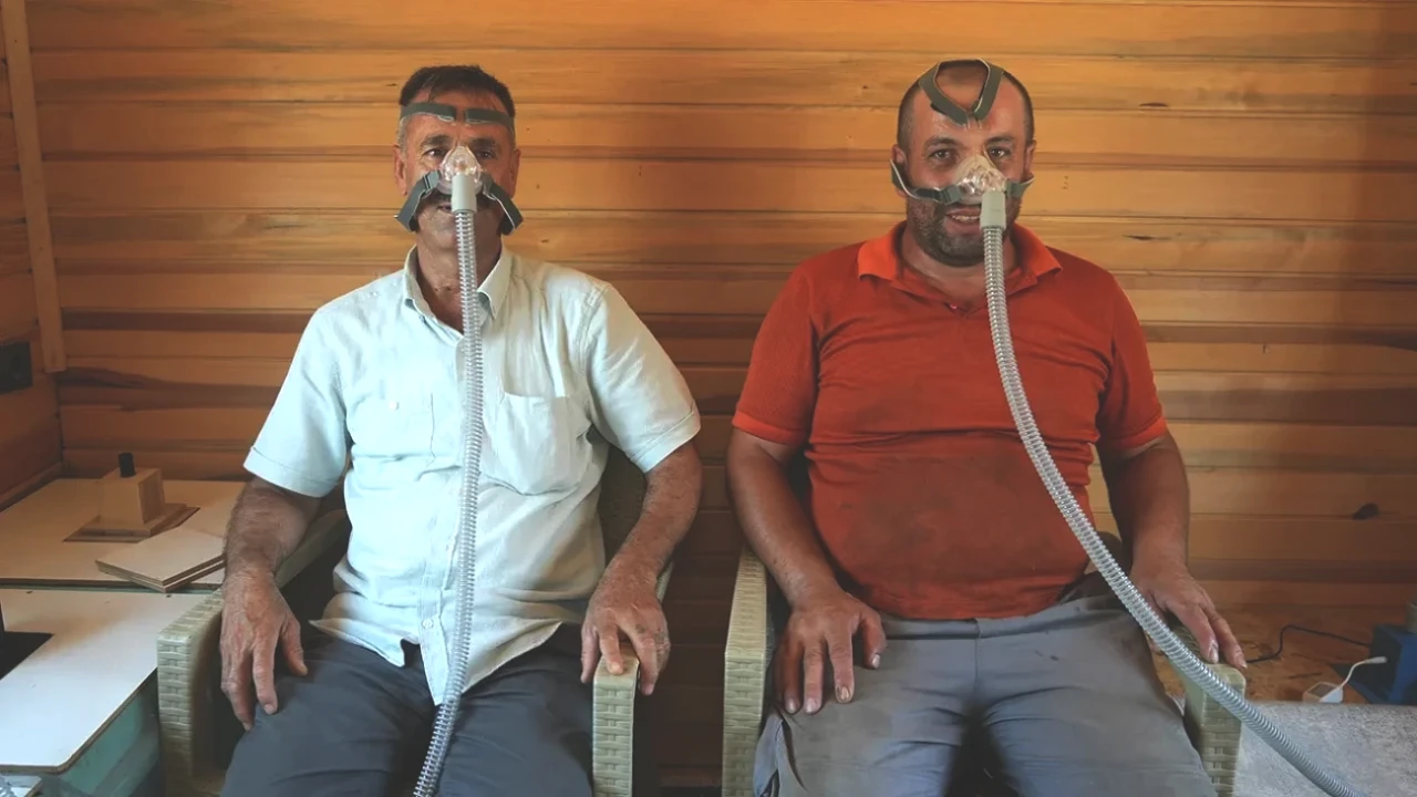 Arılarla Doğanın Şifası! Türkiye'de Uygulanan Yenilikler Depresyon ve Alerjiye İyi Geliyor